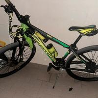 Bici adriatica 29”