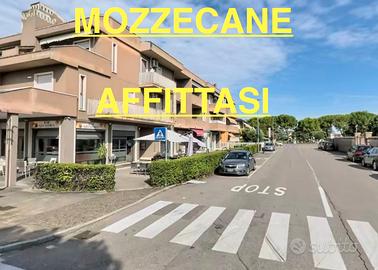 MOZZECANE-BILOCALE-ARREDATO