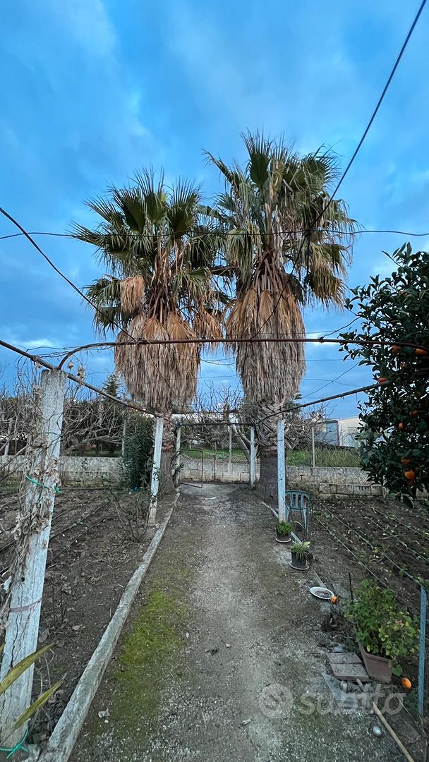 Casa di campagna - Vista 4