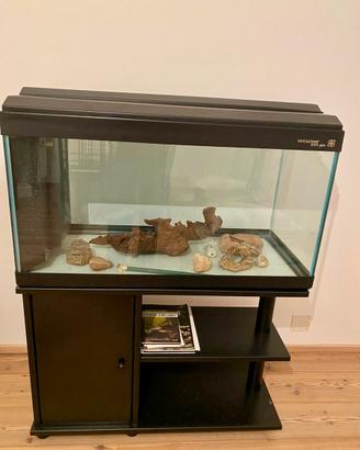 Acquario Broadway 990 GOLD + Mobile