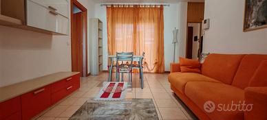 Bilocale arredato - annuale