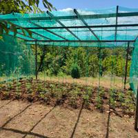 telo ombreggiante e rete antigrandine 