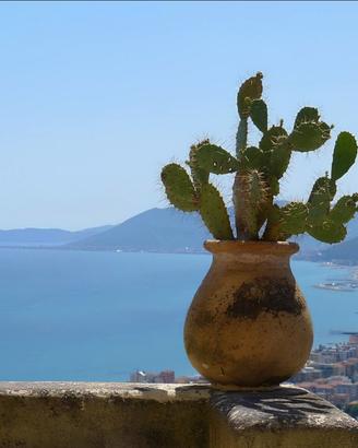 Borgio Verezzi: Piccola Bomboniera sul Mare