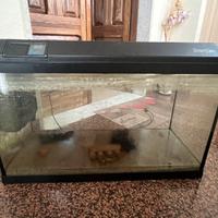 acquario Tenerife 88