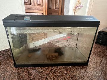 acquario Tenerife 88