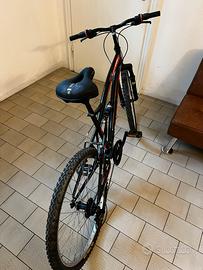 Bici mountainbike Bolt