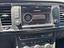 Immagine 15