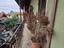 Immagine 26