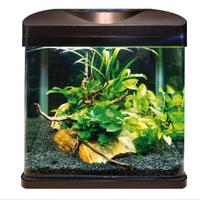 Acquario Amtra laguna 30lt