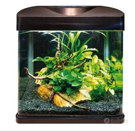 Acquario Amtra laguna 30lt