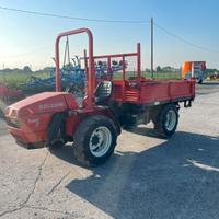 Goldoni Transcar 33
