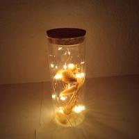 TUBO IN VETRO CON LED E FIORI SECCHI 