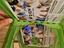 Immagine 5