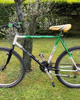 Mountain Bike Primula