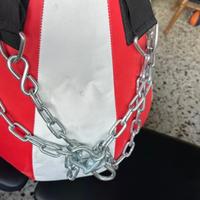 Sacco Leone 12 kg come nuovo