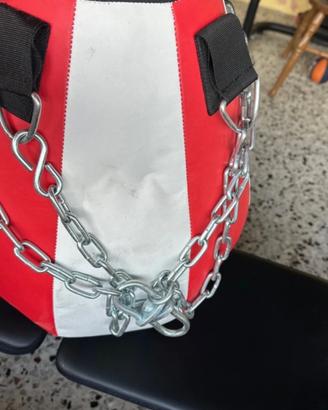 Sacco Leone 12 kg come nuovo