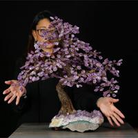 Bonsai in Ametista su Drusa Naturale – Armonia