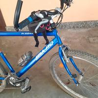 Bicicletta Mtb