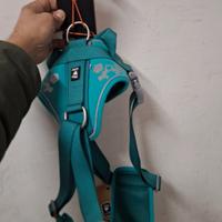 pettorina per cani grande taglia