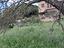 Immagine 17