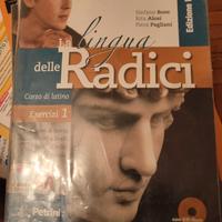 la lingua delle radici 1