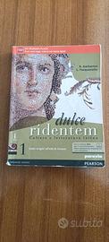 dulce ridentem 1