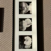 QUADRO CON FIORI BIANCHI E CORNICE NERA