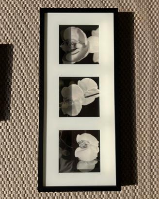 QUADRO CON FIORI BIANCHI E CORNICE NERA