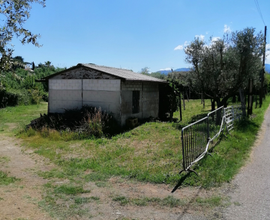 Terreno agricolo