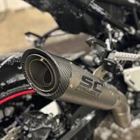 Terminale SC Project z900 (2020 - 2024)