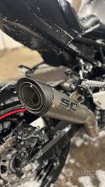 Terminale SC Project z900 (2020 - 2024)