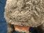 Immagine 5
