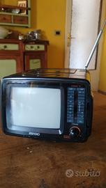 TV Vintage Portatile Irradio "Il Maggiolino"  