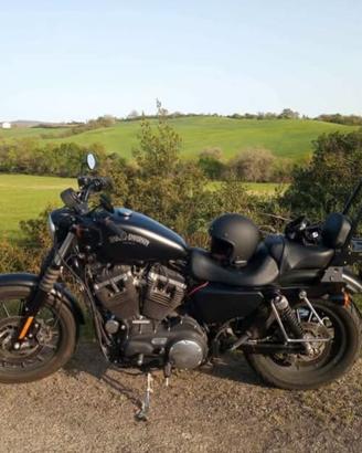 Harley Davidson iron 883 sportster