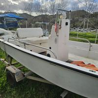 Boston whaler 13