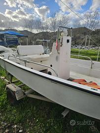 Boston whaler 13