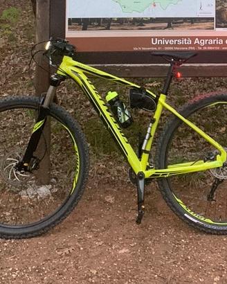 Bici mountain bike SPECIALIZED 29 tg. M