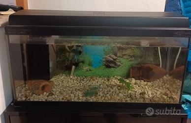 Acquario Haquoss evolution 80L