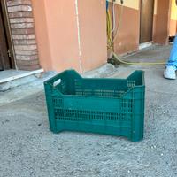 Cassette chiuse