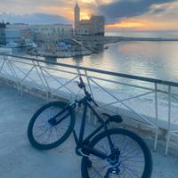 Bici mountine bike