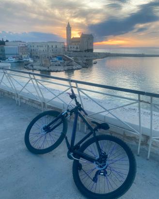 Bici mountine bike