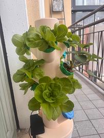 🌱 Serra Idroponica – Coltiva tutto l’anno! 🌱