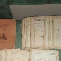 Lotto 100 riviste l'apicoltore primi 900