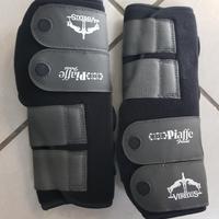 Paratendini Piaffe Front-Rear