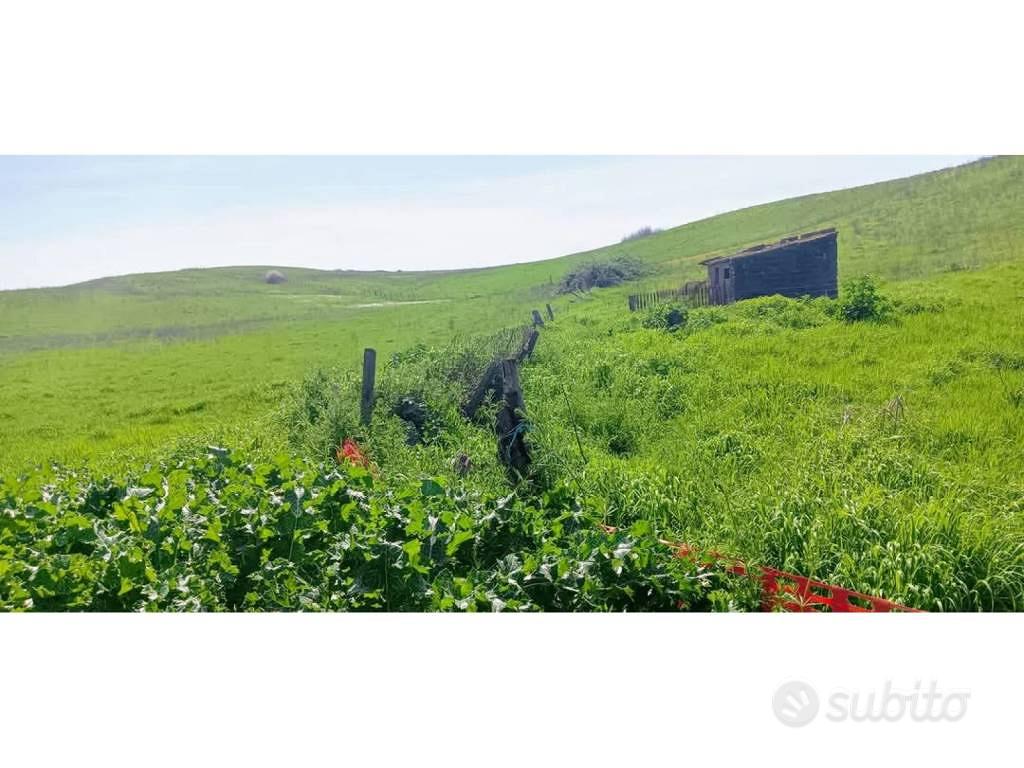 Terreno di 44170 m² a Anguillara Sabazia - Altro