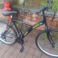 bicicletta ruota 26