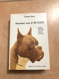 Testo unico:Incontri con il BOXER