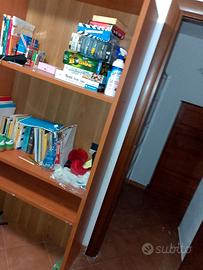 Libreria in legno /cabina armadio