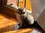 Immagine 1
