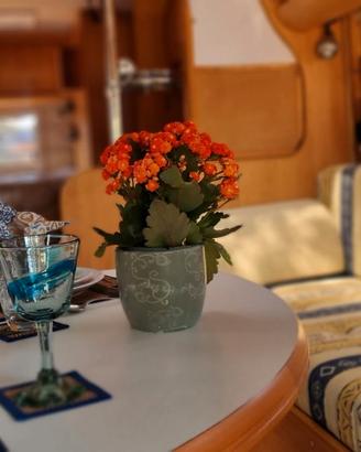 Camper Hobby 750FMS REDUCED PRICE